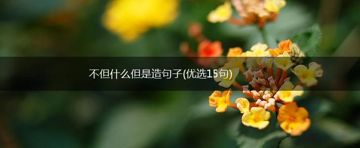 不但什么但是造句子(优选15句),第1张