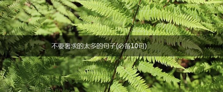 不要奢求的太多的句子(必备10句),第1张