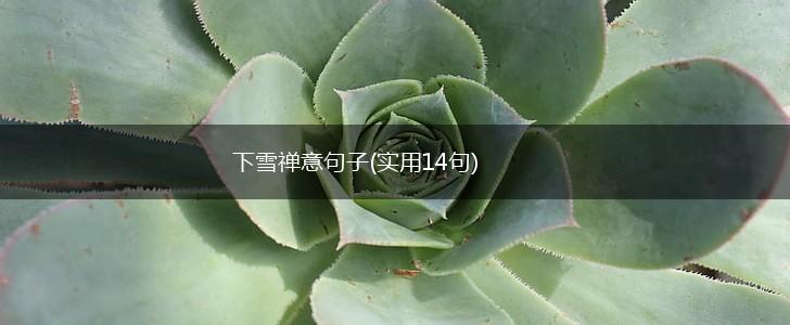 下雪禅意句子(实用14句),第1张