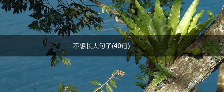 不想长大句子(40句),第1张