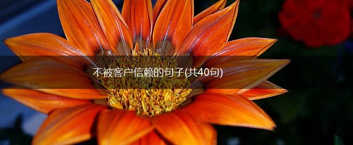 不被客户信赖的句子(共40句),第1张