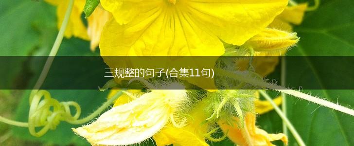 三规整的句子(合集11句),第1张