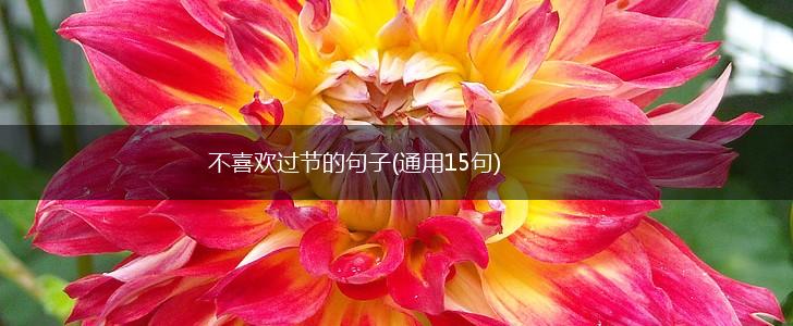 不喜欢过节的句子(通用15句),第1张