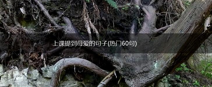上课提到母爱的句子(热门60句),第1张
