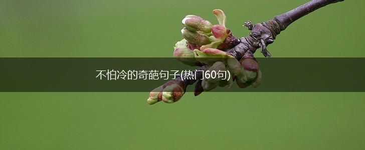 不怕冷的奇葩句子(热门60句),第1张