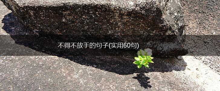 不得不放手的句子(实用60句),第1张