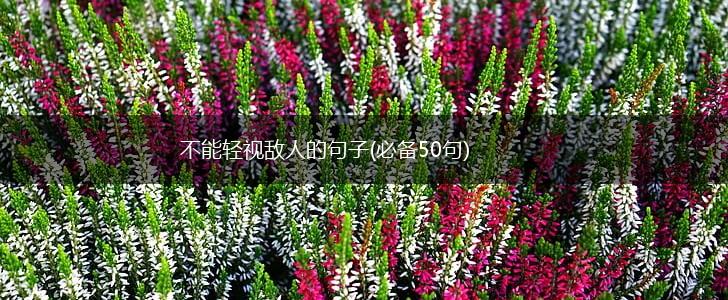 不能轻视敌人的句子(必备50句),第1张