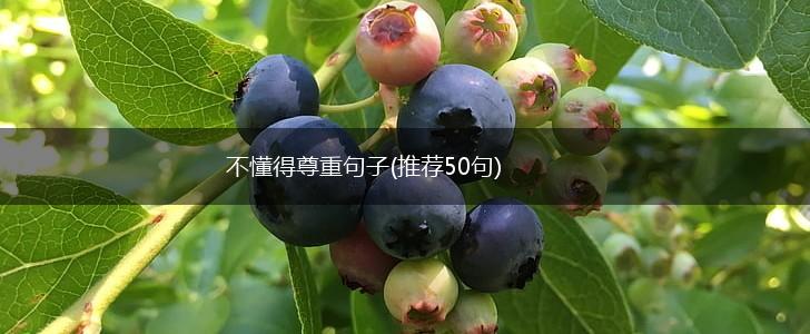 不懂得尊重句子(推荐50句),第1张