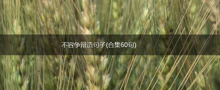不容争辩造句子(合集60句),第1张