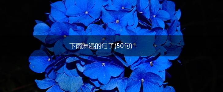 下雨淋湿的句子(50句),第1张