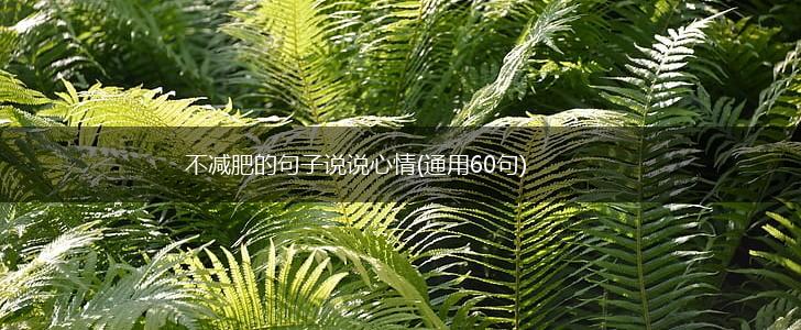 不减肥的句子说说心情(通用60句),第1张