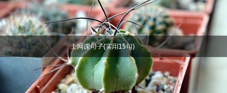 上网课句子(实用15句),第1张