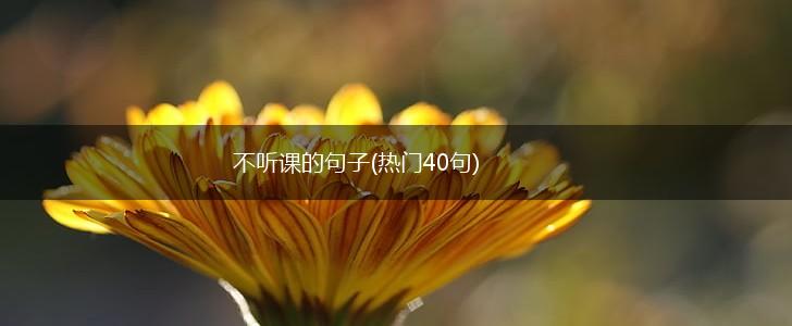 不听课的句子(热门40句),第1张