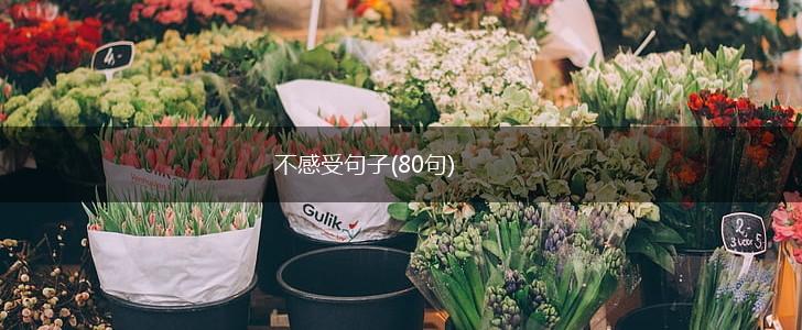 不感受句子(80句),第1张