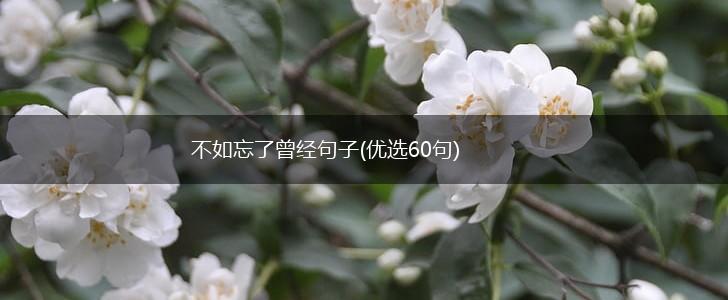 不如忘了曾经句子(优选60句),第1张