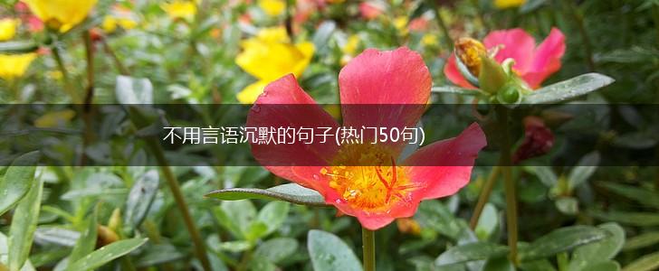 不用言语沉默的句子(热门50句),第1张