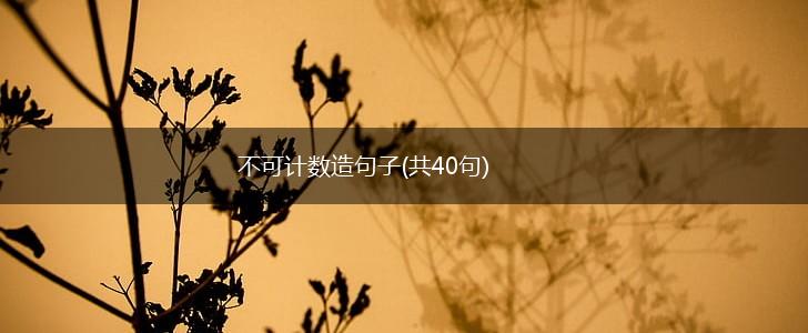 不可计数造句子(共40句),第1张