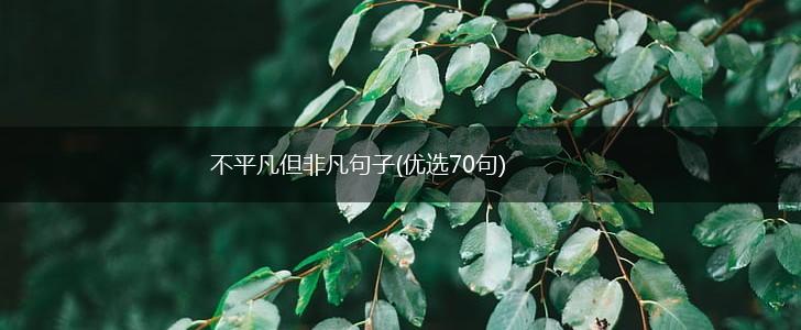 不平凡但非凡句子(优选70句),第1张