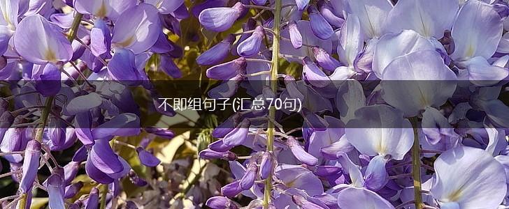 不即组句子(汇总70句),第1张