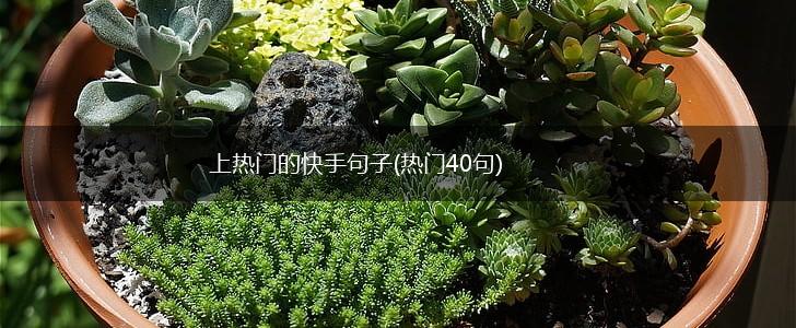 上热门的快手句子(热门40句),第1张