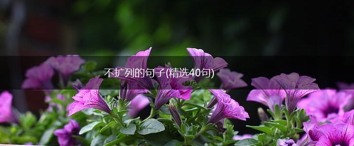 不扩列的句子(精选40句),第1张