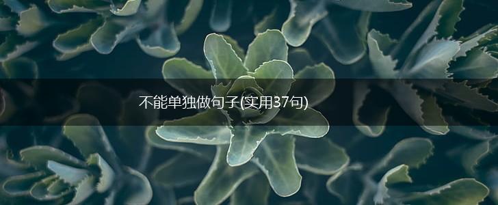 不能单独做句子(实用37句),第1张
