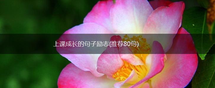 上课成长的句子励志(推荐80句),第1张