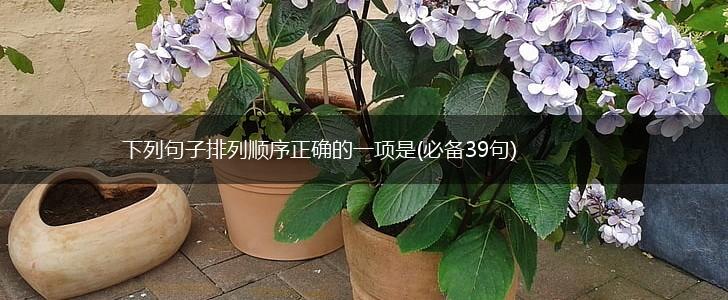 下列句子排列顺序正确的一项是(必备39句),第1张