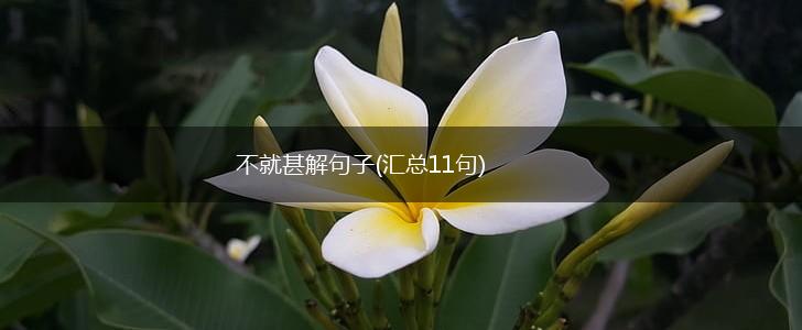不就甚解句子(汇总11句),第1张