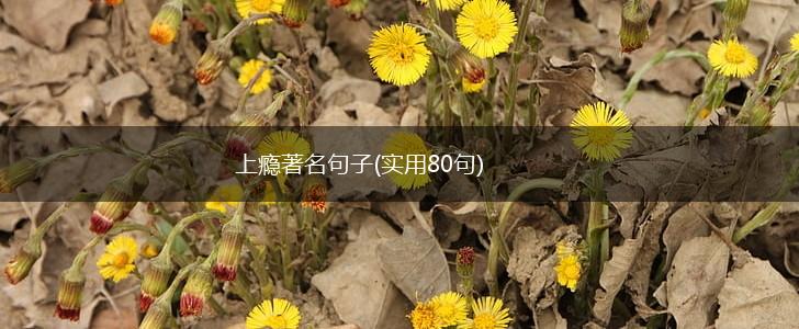 上瘾著名句子(实用80句),第1张