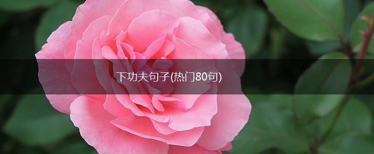 下功夫句子(热门80句),第1张