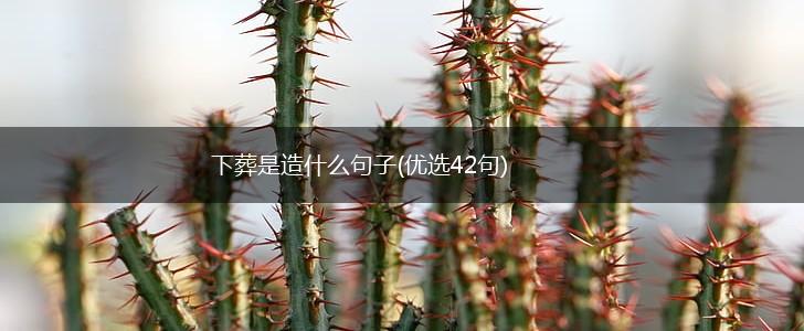 下葬是造什么句子(优选42句),第1张
