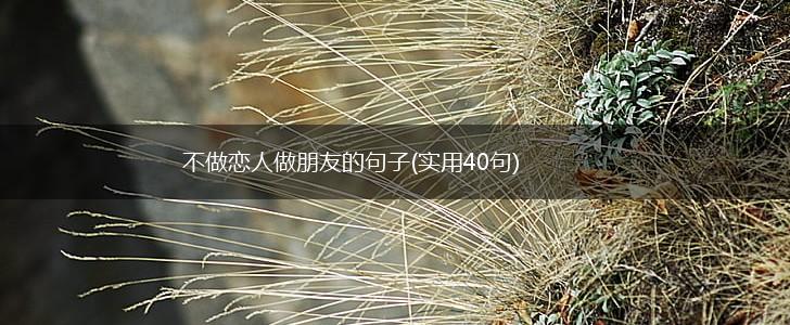 不做恋人做朋友的句子(实用40句),第1张