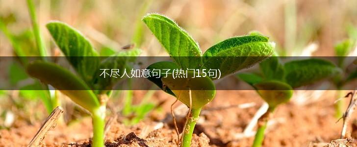 不尽人如意句子(热门15句),第1张