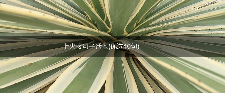 上火接句子话术(优选40句),第1张