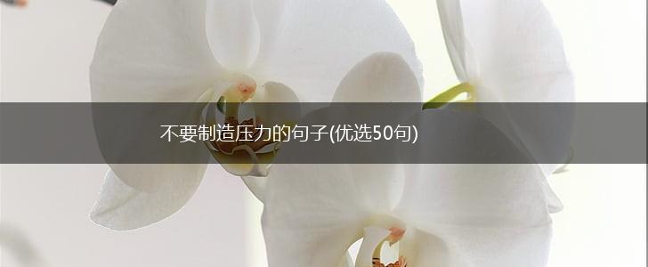 不要制造压力的句子(优选50句),第1张