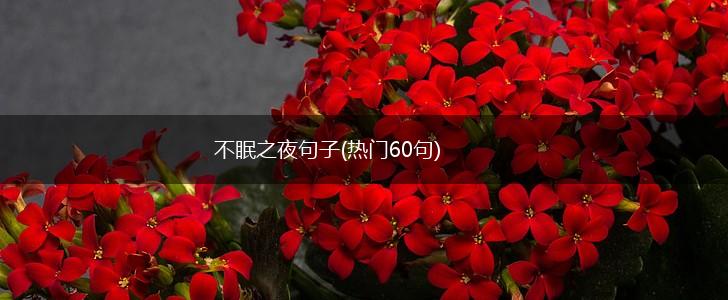 不眠之夜句子(热门60句),第1张