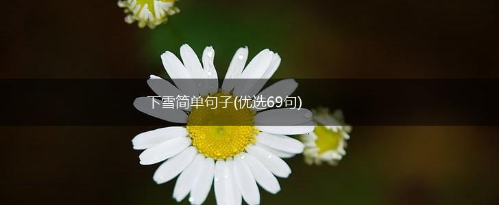 下雪简单句子(优选69句),第1张