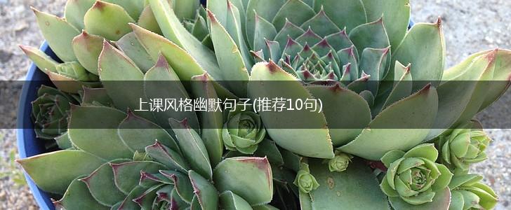 上课风格幽默句子(推荐10句),第1张