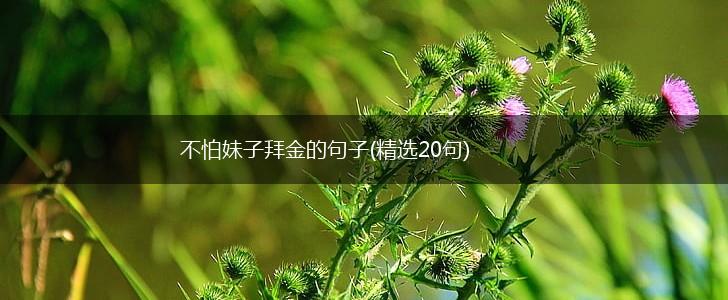 不怕妹子拜金的句子(精选20句),第1张