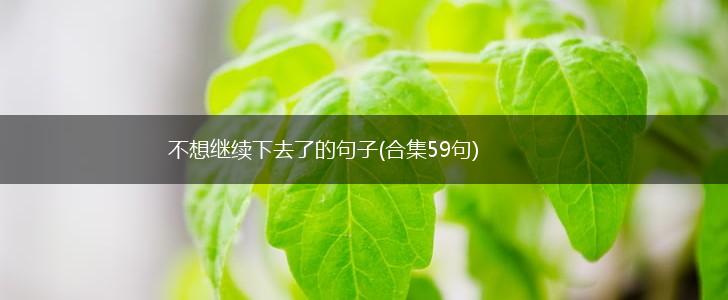 不想继续下去了的句子(合集59句),第1张