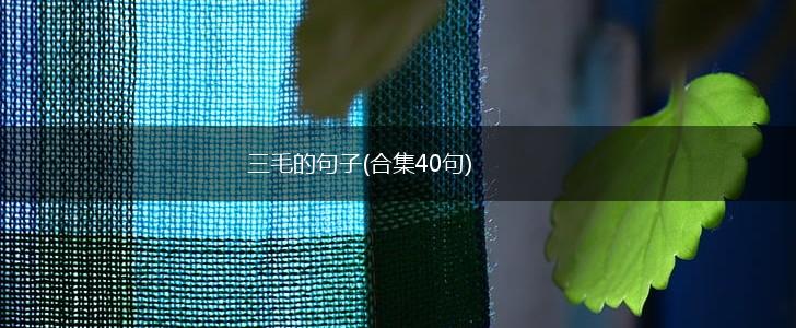 三毛的句子(合集40句),第1张