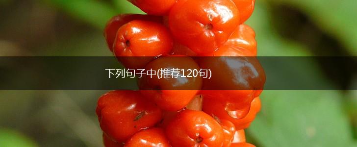 下列句子中(推荐120句),第1张