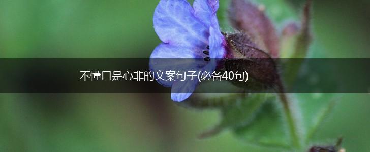 不懂口是心非的文案句子(必备40句),第1张