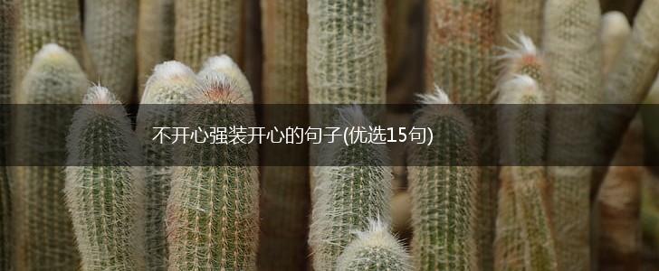 不开心强装开心的句子(优选15句),第1张