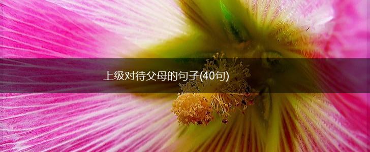 上级对待父母的句子(40句),第1张