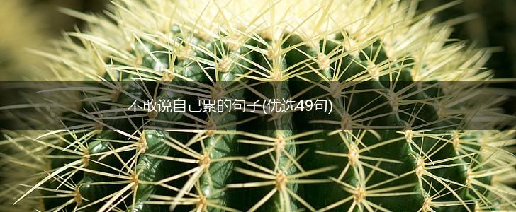 不敢说自己累的句子(优选49句),第1张