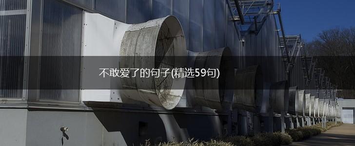不敢爱了的句子(精选59句),第1张