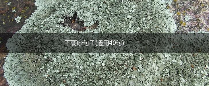 不要吵句子(通用40句),第1张