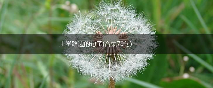 上学路边的句子(合集79句),第1张